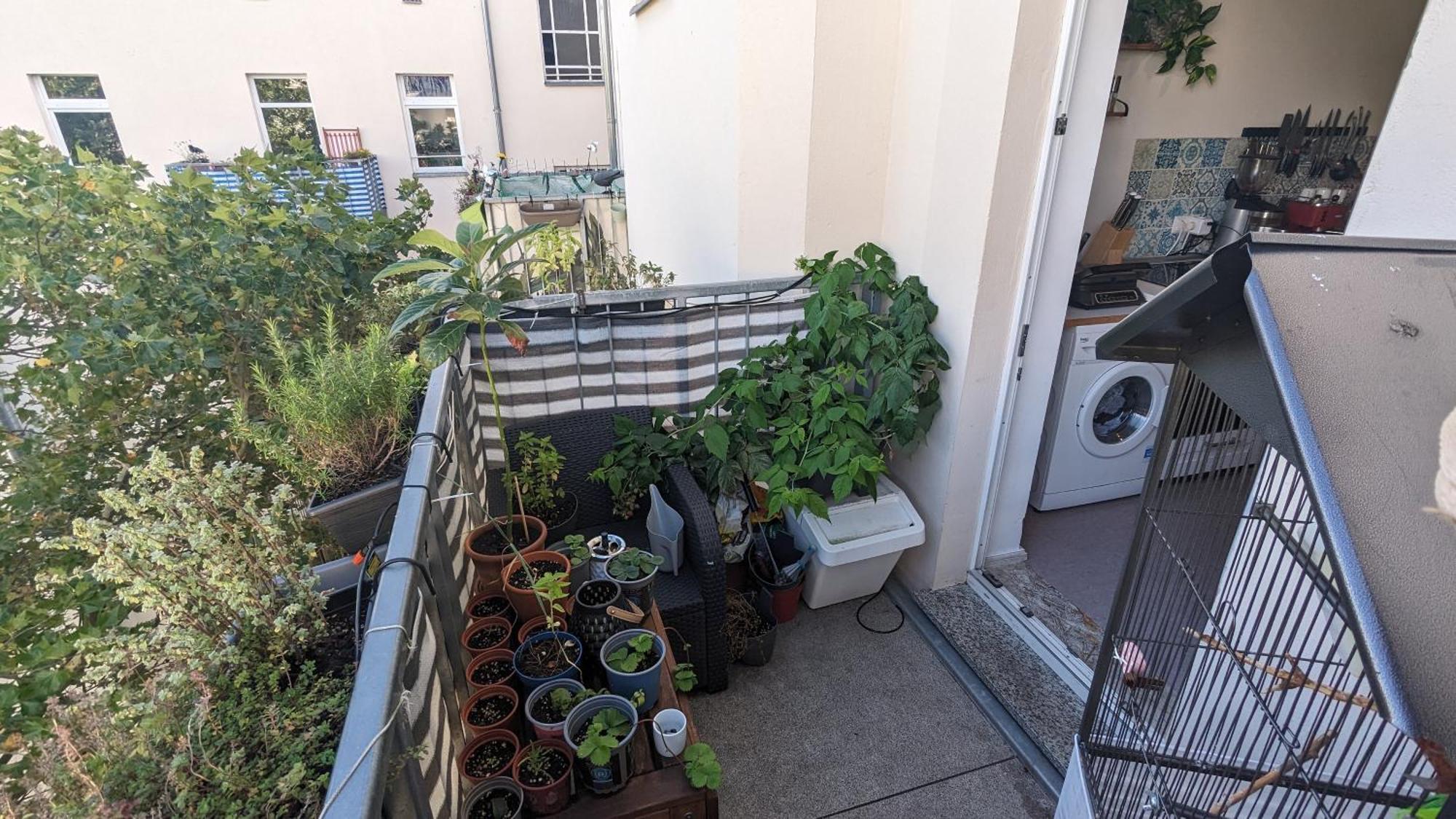 Cosy Flat In Berlin'S Trendy Area Διαμέρισμα Εξωτερικό φωτογραφία
