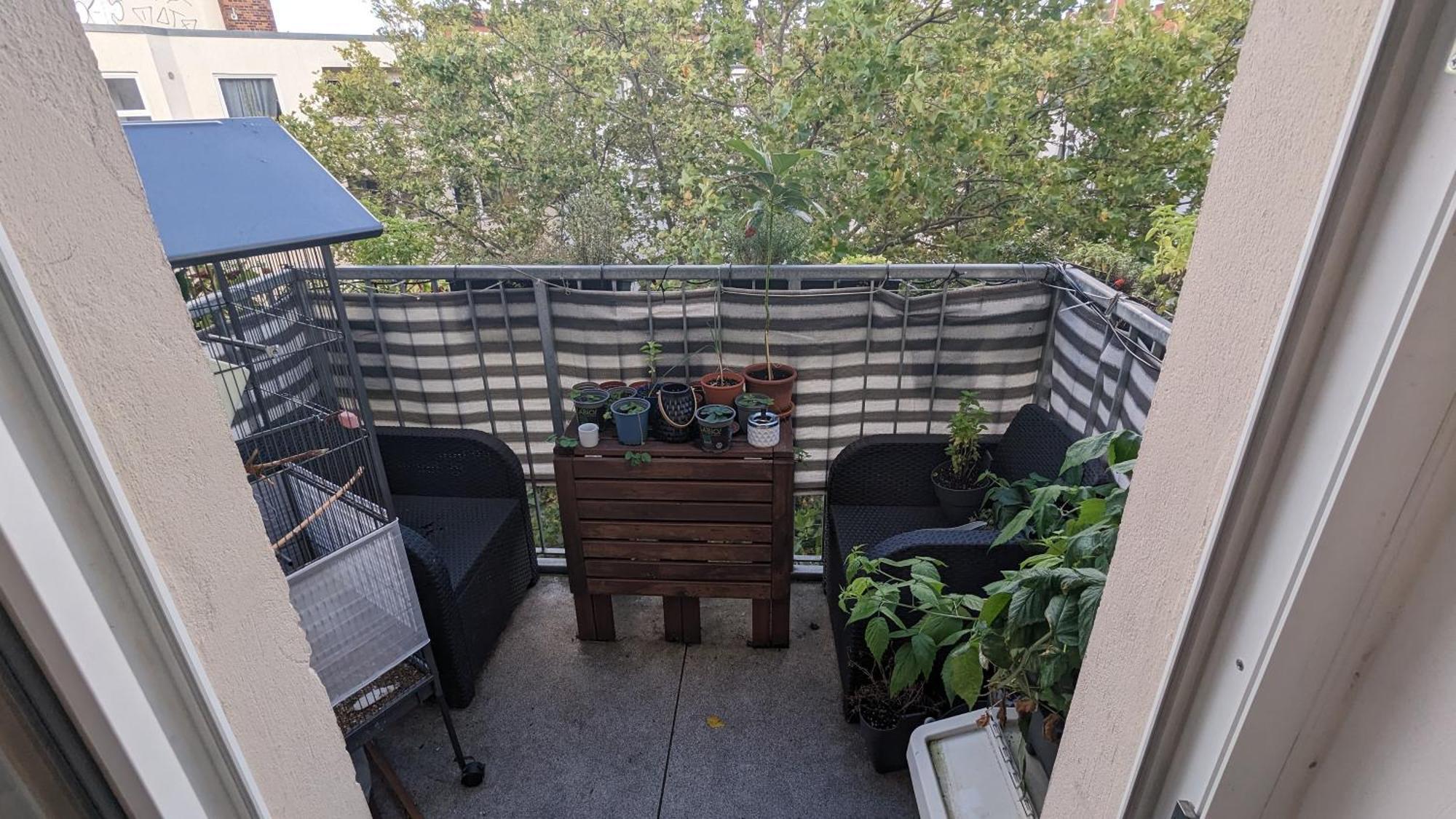 Cosy Flat In Berlin'S Trendy Area Διαμέρισμα Εξωτερικό φωτογραφία